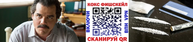 Cocaine Fish Scale где найти Зеленогорск